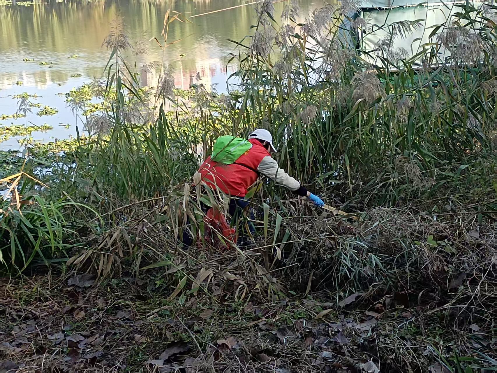 微信图片_20251124102939